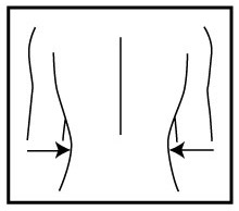 ceinture-lombaire-anatomique